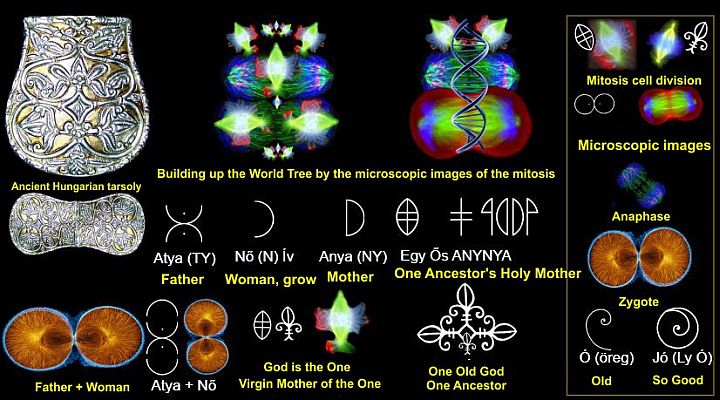 Ancient Hungarian "tarsoly" symbology.